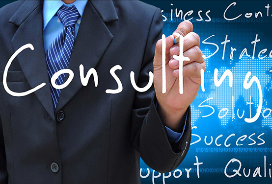 Consulting Services (LCL/LCL)